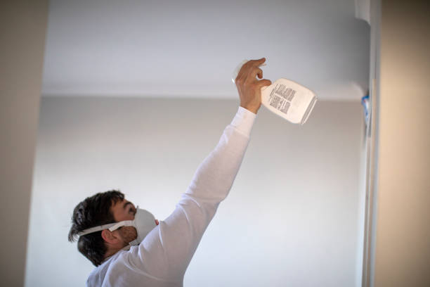 Best Office Mold Removal Services  in Wrangell, AK