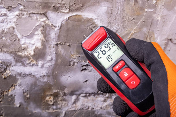 Best Affordable Mold Removal  in Wrangell, AK