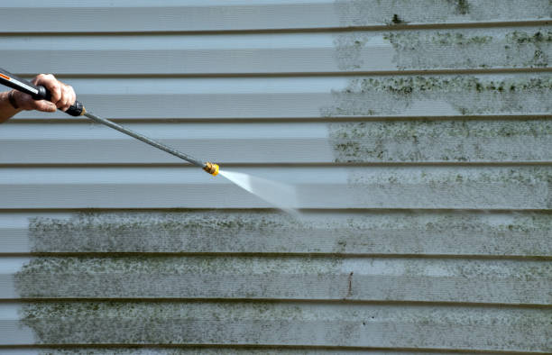 Best Certified Mold Removal  in Wrangell, AK