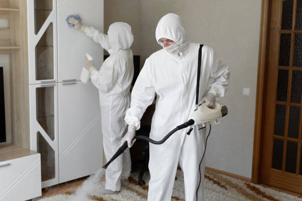 Best Toxic Mold Removal  in Wrangell, AK