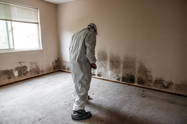 Best Crawl Space Mold Removal  in Wrangell, AK